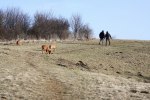 20120225 068