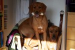 Lovely Quita and Cenna