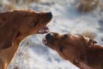 Quita and Vilja
