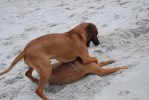 Quita and Eldar