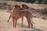 Cenna and Quita