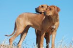 Quita and Cenna