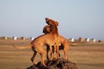 Cenna and Quita