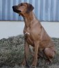 Vilja 120314