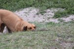 20100615 166