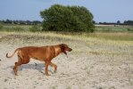 20100805 046