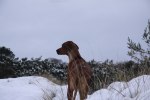 20101127 056