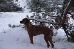 20101127 074