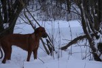 20101127 440