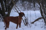 20101127 443