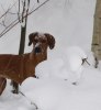 20101204