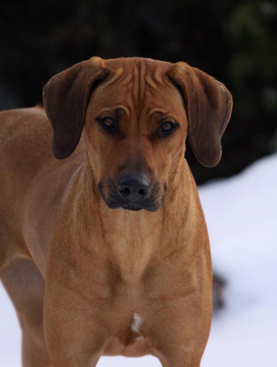 ASLA & MINOS DAUGHTER YEBA