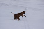 Awena & Safir