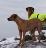 Awena & Yeba har koll