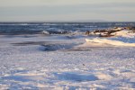 668