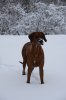 20101219 057