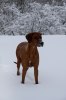 20101219 058