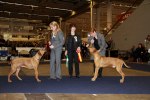 Anneli med Binti & Tina med Caspian
