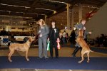 My Dog 2011