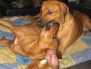 Cenna & Chimme