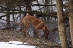 20100122 039