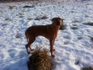 Peppe Feb 2011
