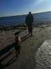 falsterbo