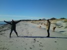 falsterbo 1