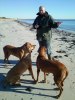 falsterbo 2