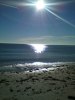 falsterbo 4