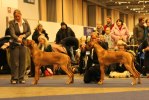 15 Zeb and Vilho