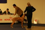 17 Me and Vilho