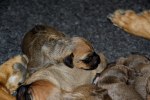 20110305 104