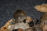 20110305 107