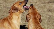 73