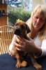 Caspian Puppy 232