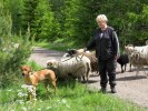 Volkert 20110528 081
