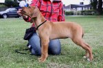 Quita