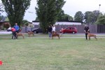 201106 327