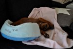 DSC_0034[1]