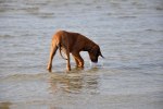 DSC_0055[2]