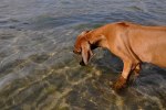 DSC_0068[1]