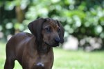 DSC_0091[1]
