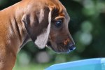 DSC_0092[1]