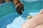 DSC_0103[1]