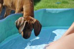 DSC_0104[1]