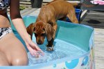 DSC_0105[1]