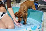 DSC_0107[1]