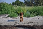 DSC_0220[1]