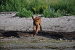 DSC_0225[1]